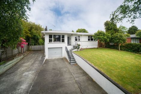 Photo of property in 22 Heatley Avenue, Hokowhitu, Palmerston North, 4410
