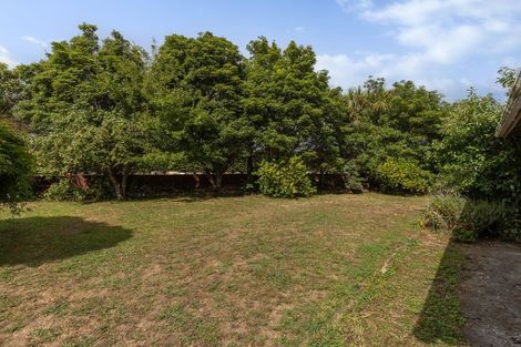 Photo of property in 89 Strathmore Avenue, Levin, 5510