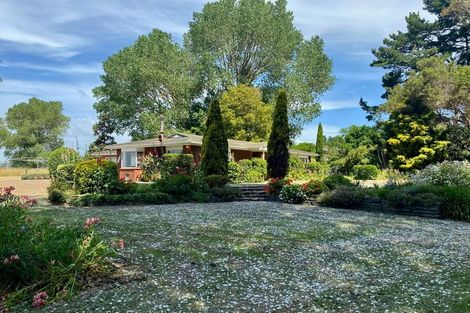 Photo of property in 906 State Highway 1, Himatangi, Foxton, 4891