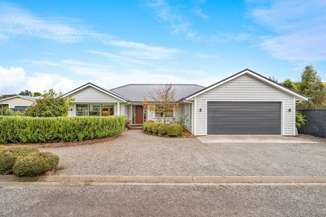 Photo of property in 8b Cotter Street, Greytown, 5712