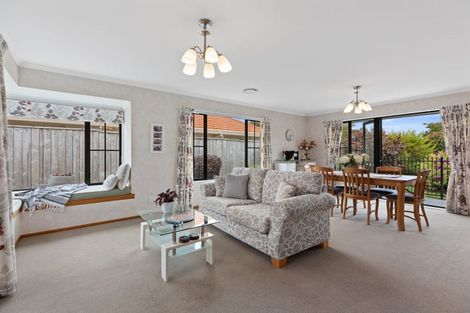 Photo of property in 53 Bethlehem Heights, Bethlehem, Tauranga, 3110