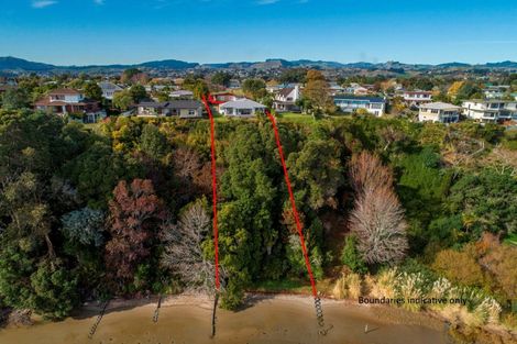 Photo of property in 51 Ririnui Place, Maungatapu, Tauranga, 3112