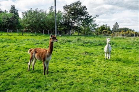Photo of property in 104 Bucks Road, Tauwharenikau, Featherston, 5773