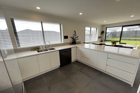 Photo of property in 155 Harriet Johnston Drive, Pokeno, 2402