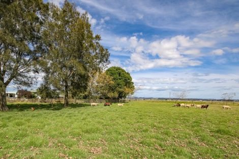 Photo of property in 76 Robertson Road, Ruawai, 0591