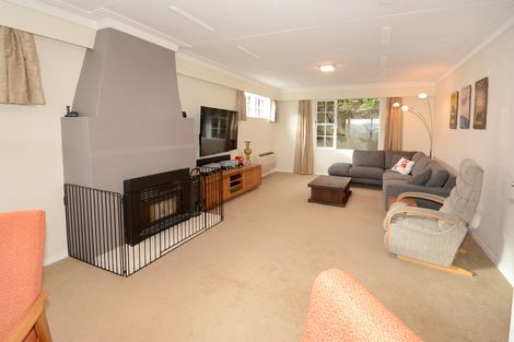Photo of property in 28 Elliffe Place, Shiel Hill, Dunedin, 9013
