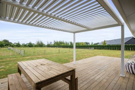 Photo of property in 49 Wakefield Road, Levin, 5571