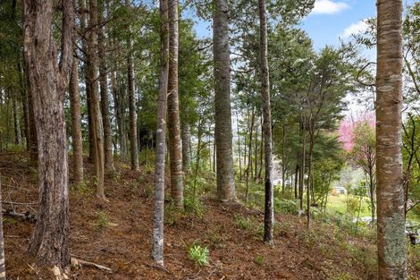 Photo of property in 773 Leigh Road, Whangateau, Warkworth, 0985