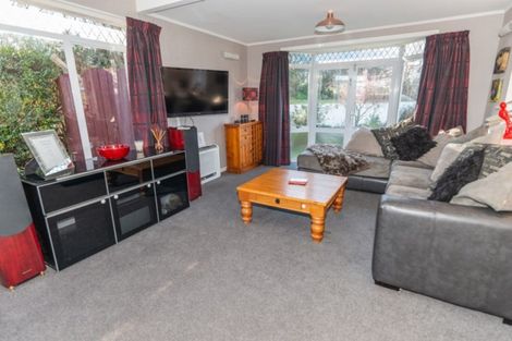 Photo of property in 111 Tarbert Street, Alexandra, 9320