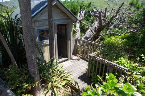 Photo of property in 16 Wentworth Street, Mornington, Wellington, 6021