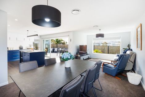 Photo of property in 163a Denbigh Street, Feilding, 4702