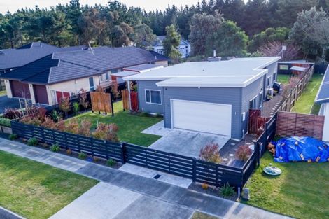 Photo of property in 26 Sandown Avenue, Himatangi Beach, Foxton, 4891