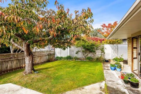 Photo of property in 41a-b Andrew Street, Waikanae, 5036