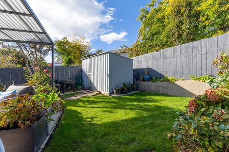 Photo of property in 11 Idesia Grove, Richmond, 7020