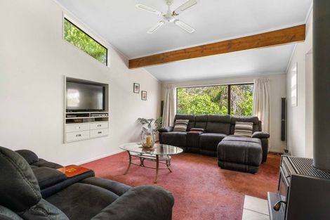 Photo of property in 16 Mount Avenue, Pauanui, Hikuai, 3579