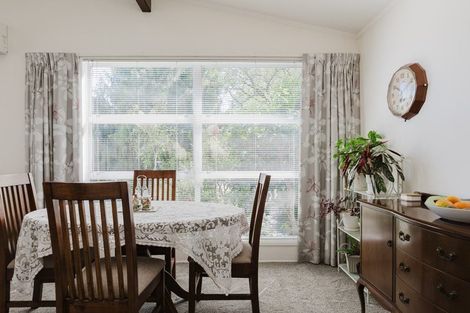 Photo of property in 11 Upper Plain Road, Masterton, 5810