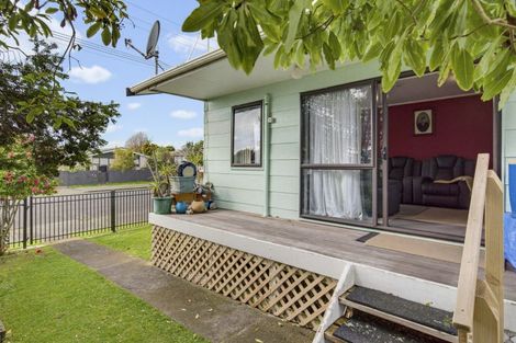 Photo of property in 13 Douglas Street, Levin, 5510