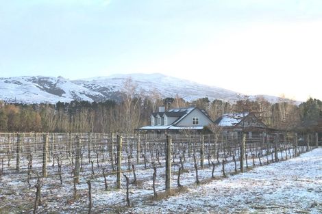 Photo of property in 141 Pearson Road, Cromwell, 9384