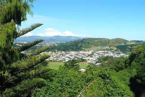 Photo of property in 36 Havelock Street, Mornington, Wellington, 6021