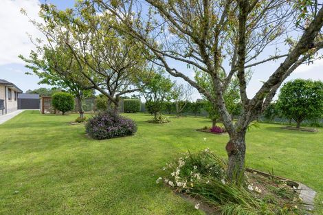 Photo of property in 347a Tararua Road, Levin, 5571