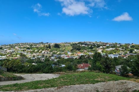 Photo of property in 20 Thomson Street, Lookout Point, Dunedin, 9011