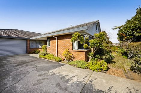 Photo of property in 217 Carrington Street, Vogeltown, New Plymouth, 4310