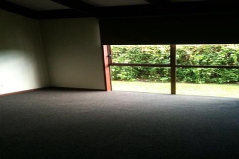 Photo of property in 53a Maxwell Avenue, Durie Hill, Whanganui, 4500