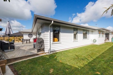 Photo of property in 163a Denbigh Street, Feilding, 4702