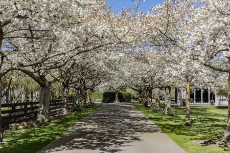 Photo of property in 184 Vicenza Drive, Ohoka, Kaiapoi, 7692
