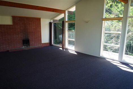 Photo of property in 36 Havelock Street, Mornington, Wellington, 6021