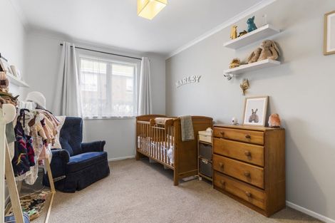 Photo of property in 17 Boucher Avenue, Te Puke, 3119