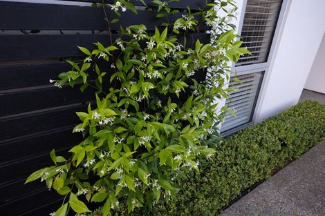 Photo of property in 115a Te Awe Awe Street, Hokowhitu, Palmerston North, 4410