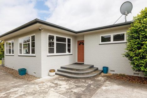 Photo of property in 386 Ruahine Street, Terrace End, Palmerston North, 4410