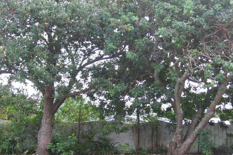 Photo of property in 33 Autumn Avenue, Glen Eden, Auckland, 0602