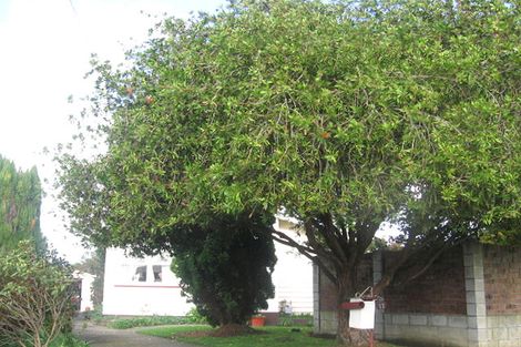 Photo of property in 12 Sutherland Crescent, Westbrook, Palmerston North, 4412