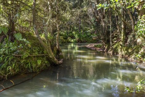 Photo of property in 1058 Old Mountain Road, Waitetuna, Raglan, 3295