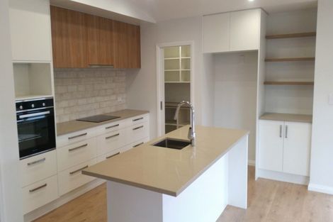 Photo of property in 137a Hunt Road, Pukekawa, Tuakau, 2696