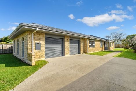 Photo of property in 64 Te Hono Street, Maungatapu, Tauranga, 3112