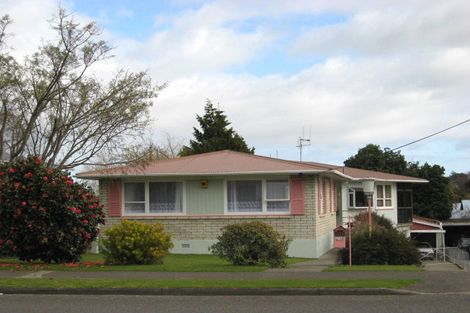 Photo of property in 211 Cambridge Street, Levin, 5510