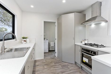 Photo of property in 16b Wilkie Place, Mount Wellington, Auckland, 1060