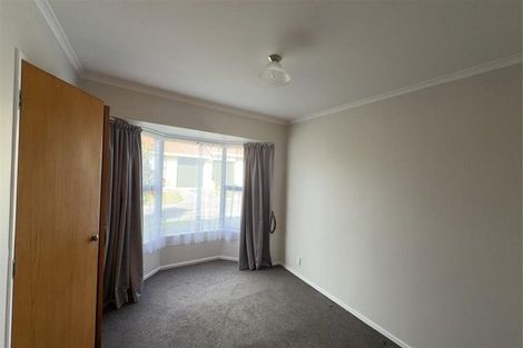 Photo of property in 17 Douglas Street, Levin, 5510