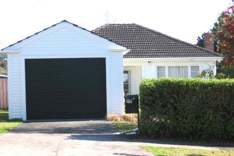 Photo of property in 41 Willerton Avenue, New Lynn, Auckland, 0600