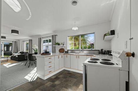 Photo of property in 10a Ihle Street, Terrace End, Palmerston North, 4410