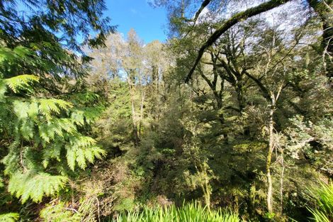 Photo of property in 774 Atarau Road, Atarau, Blackball, 7871