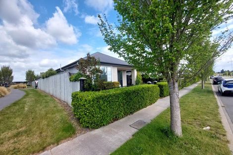 Photo of property in 21 Hodgkinson Road, Pegasus, 7612