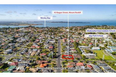 Photo of property in 43 Rogan Street, Mount Roskill, Auckland, 1041