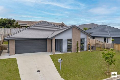 Photo of property in 15 Trans Tasman Way, Pyes Pa, Tauranga, 3112