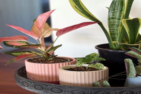 Photo of property in 169 Upper Pitone Road, Pitone, New Plymouth, 4374