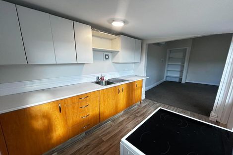 Photo of property in 67 Nelson Street, Forbury, Dunedin, 9012