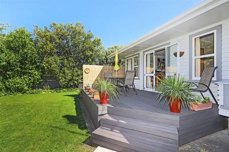 Photo of property in 309 Collinge Road, Mayfair, Hastings, 4122